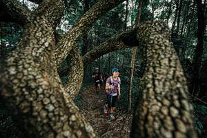 BIB: 
                            <button type="button" onclick="openModal(25393036)" class="btn btn-primary btn-sm float-right btn-popup" data-toggle="modal" data-target=".modal-high-quality">
                        <i class="fas fa-shopping-cart"></i> Add to Cart
                    </button>
                                            <button type="button" onclick="isThisMe(25393036, true)" class="btn btn-success btn-sm float-right btn-popup btn-isme hidden" data-toggle="tooltip" data-placement="bottom" title="นี่คือรูปของคุณใช่ไหม คลิกที่นี่เพื่อเอาเข้าอัลบั้ม">
                        <i class="fas fa-plus"></i> Add to album
                    </button>
                    <button type="button" onclick="isThisMe(25393036, false)" class="btn btn-warning btn-sm float-right btn-popup btn-isnotme hidden">
                        <i class="fas fa-ban"></i> Remove from album
                    </button>